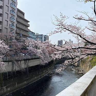 実際訪問したユーザーが直接撮影して投稿した関口公園江戸川公園の写真