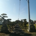 実際訪問したユーザーが直接撮影して投稿した久保田町神社履脱天満宮の写真