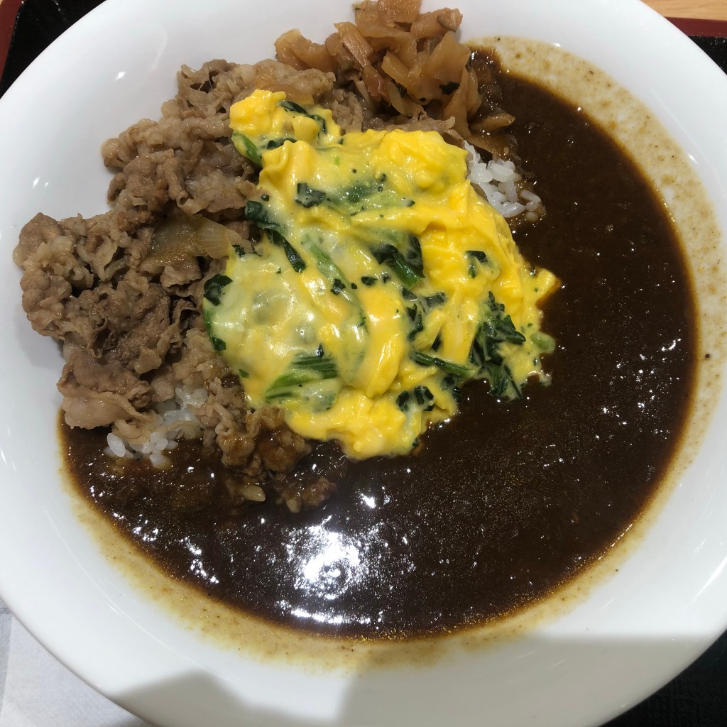 ユーザーが投稿したカレー並の写真 - 実際訪問したユーザーが直接撮影して投稿した御所野地蔵田牛丼すき家 イオンモール秋田店の写真