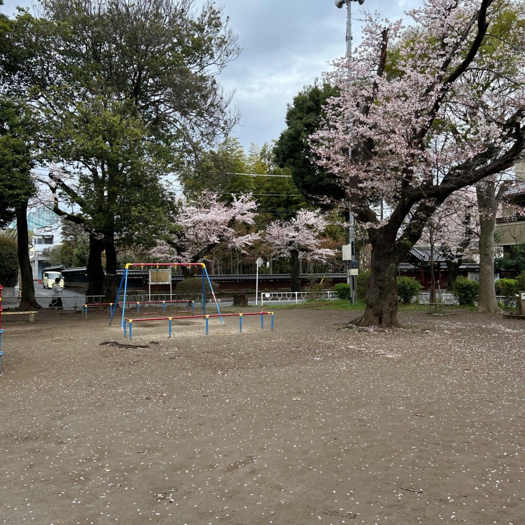 実際訪問したユーザーが直接撮影して投稿した常盤平公園はなみずき公園の写真