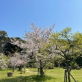 実際訪問したユーザーが直接撮影して投稿した実籾公園実籾本郷公園の写真