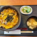 親子丼 - 実際訪問したユーザーが直接撮影して投稿した本町丼ものどんぶり 一膳屋の写真のメニュー情報