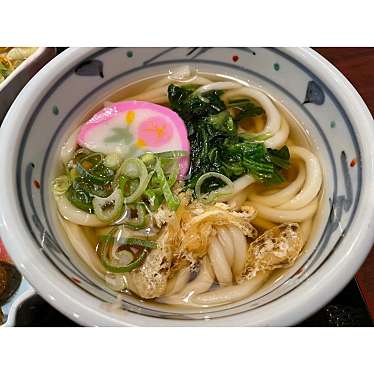 くじら肉さんが投稿した赤石和食 / 日本料理のお店なごみの郷/ナゴミノサトの写真