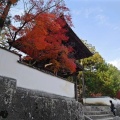 実際訪問したユーザーが直接撮影して投稿した井尻野寺宝福寺の写真