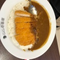 ポークカレー - 実際訪問したユーザーが直接撮影して投稿した旗ヶ崎カレーCoCo壱番屋 米子旗ヶ崎店の写真のメニュー情報