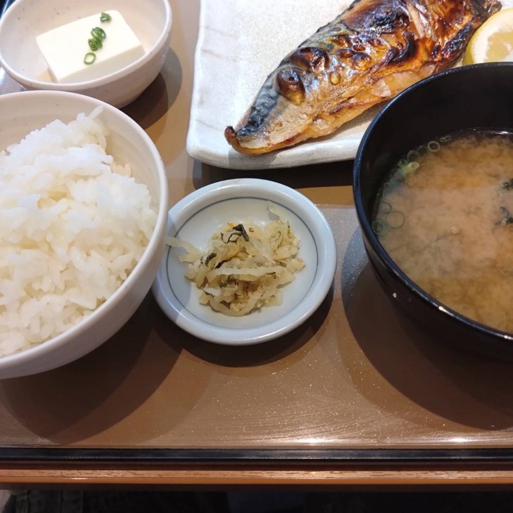ユーザーが投稿したサバの塩焼定食の写真 - 実際訪問したユーザーが直接撮影して投稿した九条南定食屋やよい軒 フォレオ大阪ドームシティ店の写真
