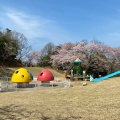 実際訪問したユーザーが直接撮影して投稿した山田町公園加賀市中央公園の写真