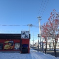 実際訪問したユーザーが直接撮影して投稿した中央二条ラーメン専門店麺や虎鉄 白石店の写真