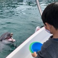 実際訪問したユーザーが直接撮影して投稿した四浦水族館 / アクアリウムうみたま体験パーク つくみイルカ島の写真