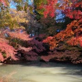 実際訪問したユーザーが直接撮影して投稿した加茂新田公園加茂山公園の写真