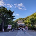 実際訪問したユーザーが直接撮影して投稿した雪ノ下神社鶴岡八幡宮の写真