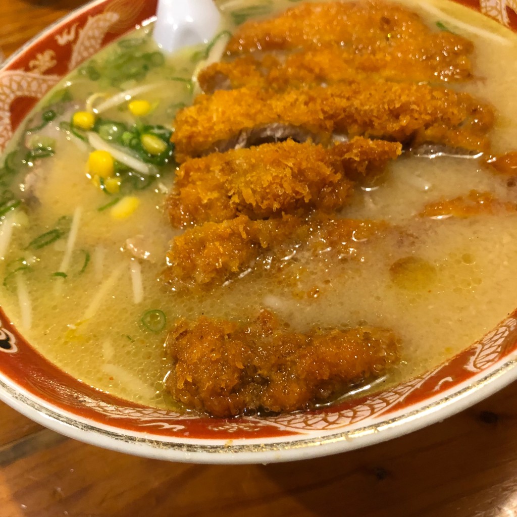 ユーザーが投稿した味噌カツラーメンの写真 - 実際訪問したユーザーが直接撮影して投稿した野老山ラーメン / つけ麺ラーメンの自由軒 越知本店の写真