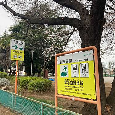 実際訪問したユーザーが直接撮影して投稿した吉野町公園吉野公園の写真