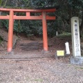 実際訪問したユーザーが直接撮影して投稿した吉田神楽岡町神社吉田神社の写真