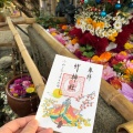 実際訪問したユーザーが直接撮影して投稿した斎宮神社竹神社の写真