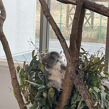 実際訪問したユーザーが直接撮影して投稿した平川町スイーツ平川動物公園 インドの森ゾーン売店の写真