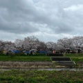 実際訪問したユーザーが直接撮影して投稿した壬生甲公園東雲公園の写真