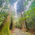 実際訪問したユーザーが直接撮影して投稿した且来世界遺産熊野古道の写真