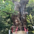 実際訪問したユーザーが直接撮影して投稿した城山町神社城山八幡宮の写真