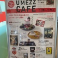 実際訪問したユーザーが直接撮影して投稿した六本木カフェCafe THE SUNの写真