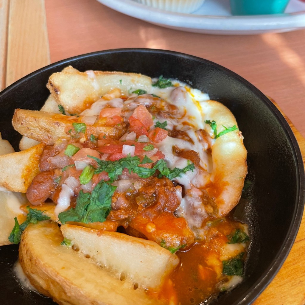 ユーザーが投稿したチリポテトの写真 - 実際訪問したユーザーが直接撮影して投稿した西葛西メキシコ料理エルトリート 西葛西店の写真