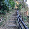 実際訪問したユーザーが直接撮影して投稿した獅子ケ谷公園獅子ケ谷市民の森の写真