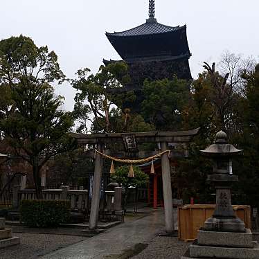 YST10さんが投稿した九条町寺のお店東寺/トウジの写真