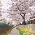 実際訪問したユーザーが直接撮影して投稿した今井南町河川渋川の写真