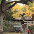 実際訪問したユーザーが直接撮影して投稿した八坂神社事任八幡宮の写真