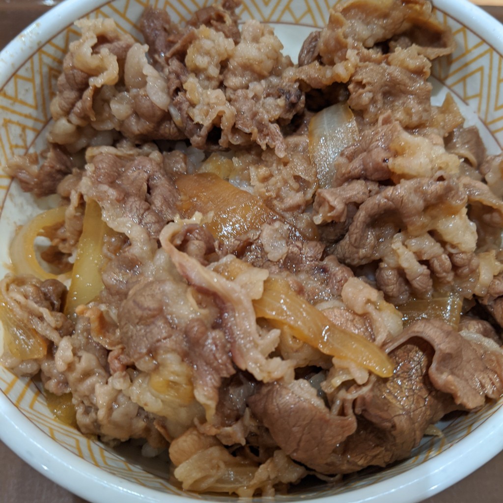 ユーザーが投稿した牛丼の写真 - 実際訪問したユーザーが直接撮影して投稿した平松本町牛丼すき家 宇都宮平松店の写真