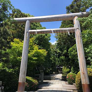 実際訪問したユーザーが直接撮影して投稿した太秦森ケ東町神社木島坐天照御魂神社の写真