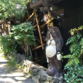 実際訪問したユーザーが直接撮影して投稿した深大寺元町そば一休庵の写真