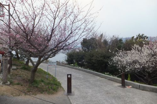 実際訪問したユーザーが直接撮影して投稿した御津町岩見公園萬景園の写真