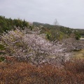 実際訪問したユーザーが直接撮影して投稿した福井公園総社北公園の写真