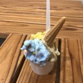 トリプル - 実際訪問したユーザーが直接撮影して投稿した玉川アイスクリームアンティカ ジェラテリア 玉川店の写真のメニュー情報