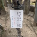 実際訪問したユーザーが直接撮影して投稿した桜井町神社首途八幡宮の写真