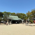 実際訪問したユーザーが直接撮影して投稿した中桜塚神社原田神社の写真