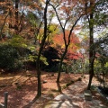 実際訪問したユーザーが直接撮影して投稿した神埼町的神社仁比山神社の写真