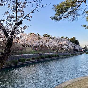 YUN722さんが投稿した御山町公園のお店悠久山公園/ユウキュウザンコウエンの写真