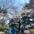 実際訪問したユーザーが直接撮影して投稿した清水アスレチック清水公園の写真