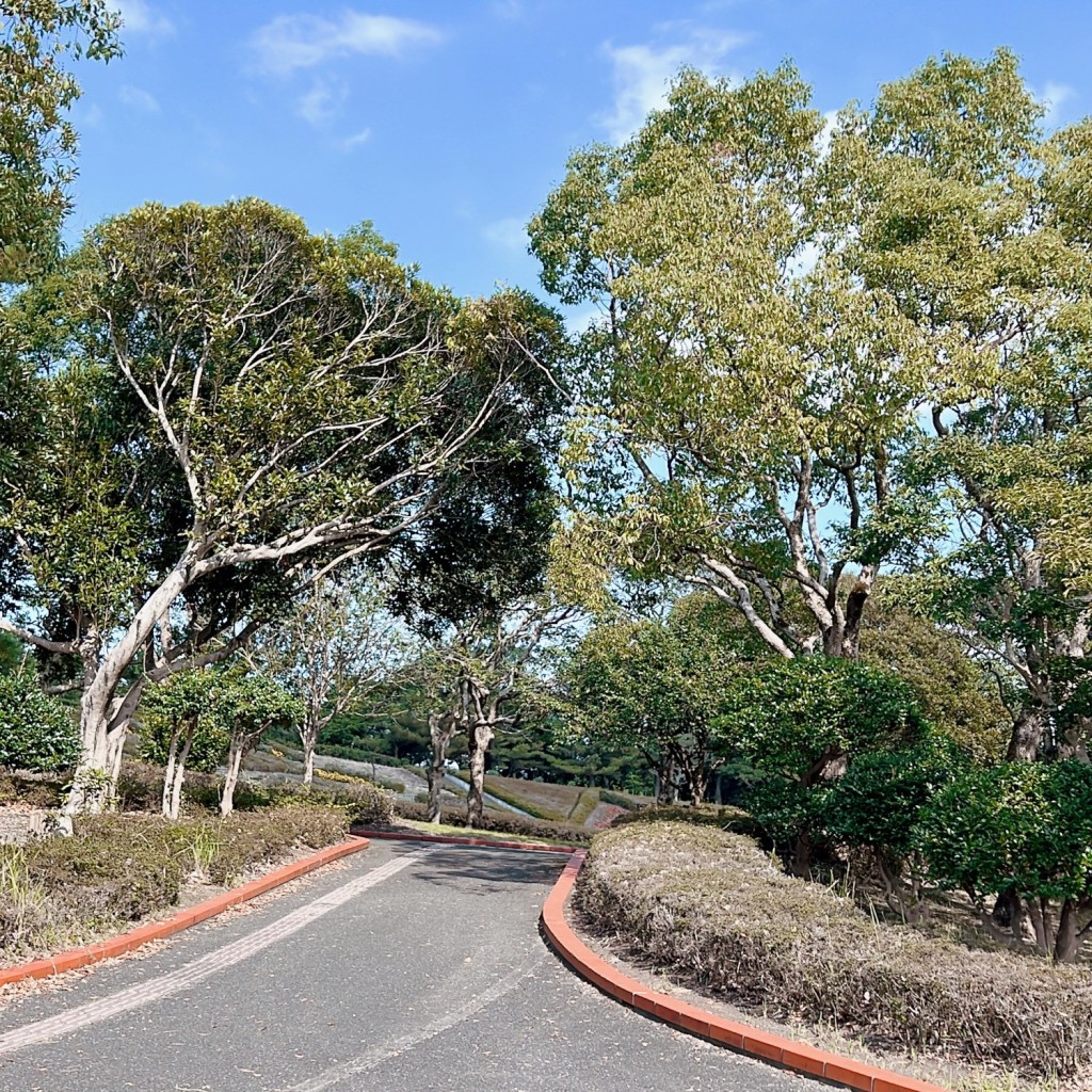 実際訪問したユーザーが直接撮影して投稿した加世田高橋公園吹上浜海浜公園の写真