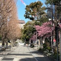 実際訪問したユーザーが直接撮影して投稿した長者町公園大通り公園の写真