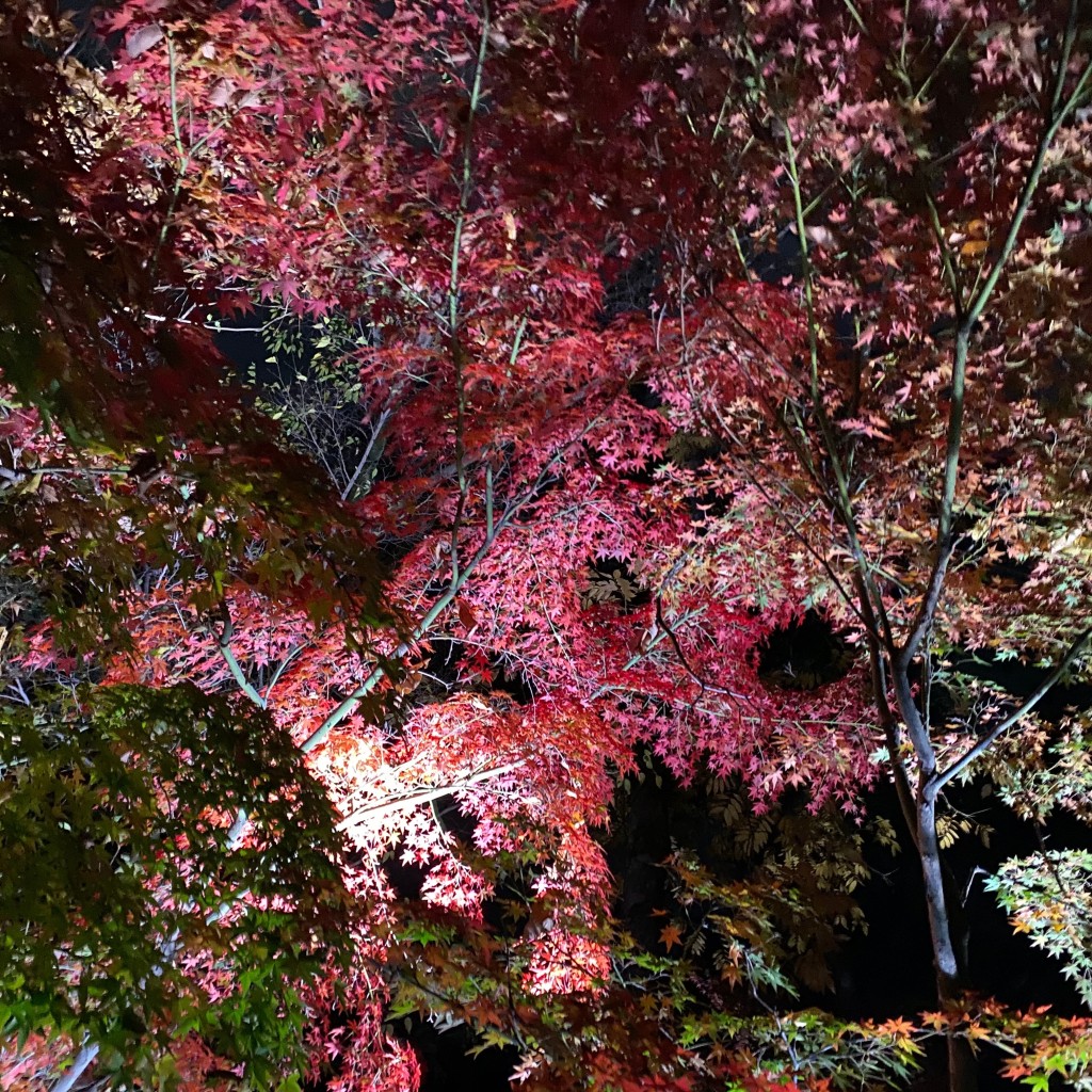 モン太三郎さんが投稿した天神神社のお店長岡天満宮/ナガオカテンマングウの写真