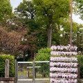実際訪問したユーザーが直接撮影して投稿した中島鳥羽離宮町神社城南宮の写真