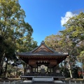 実際訪問したユーザーが直接撮影して投稿した膳所神社膳所神社の写真