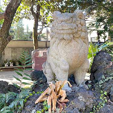 実際訪問したユーザーが直接撮影して投稿した柏神社諏訪神社の写真