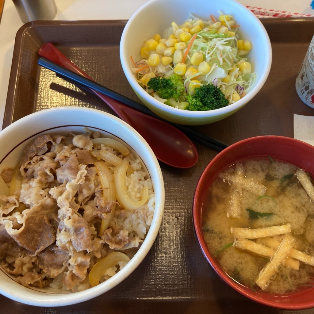 ユーザーが投稿した牛丼並の写真 - 実際訪問したユーザーが直接撮影して投稿した荒川沖東牛丼すき家 土浦荒川沖店の写真