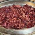 上サガリ - 実際訪問したユーザーが直接撮影して投稿した愛国東肉料理万国の写真のメニュー情報