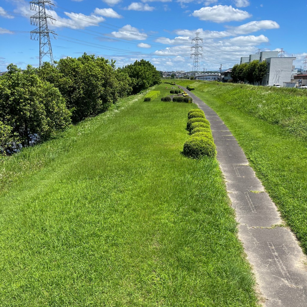 実際訪問したユーザーが直接撮影して投稿した三好町公園境川緑地の写真