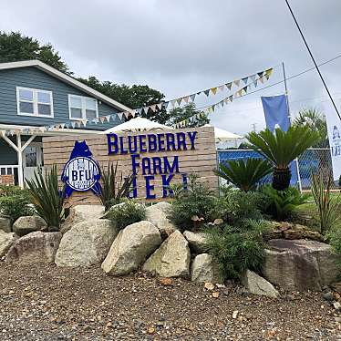 実際訪問したユーザーが直接撮影して投稿した越畑ぶどう狩りBLUEBERRY FARM UEKIの写真